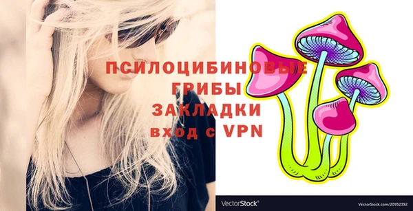 молекула духа Аркадак